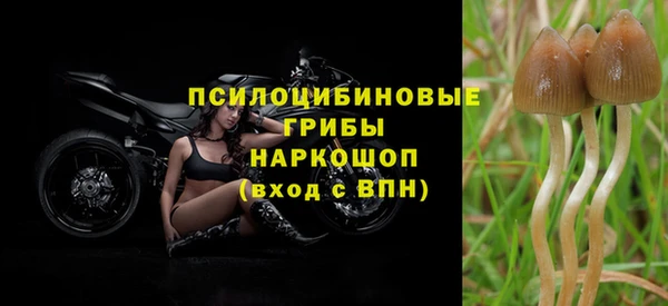 каннабис Корсаков