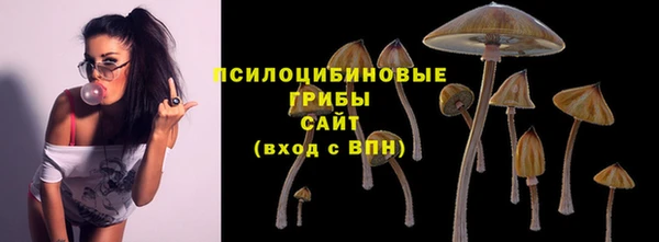 каннабис Корсаков