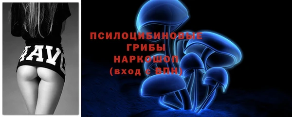 дживик Коряжма