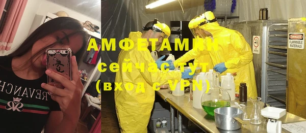 каннабис Корсаков