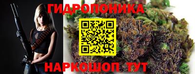 индика Азнакаево