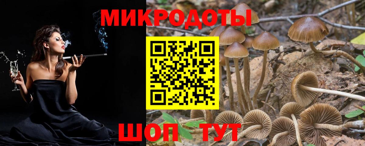 Псилоцибиновые грибы Psilocybine cubensis  Вход с VPN  Саранск 